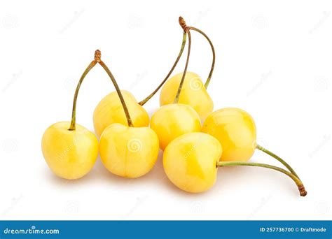 yellow cherry path isolated stock photo image  tasty studio