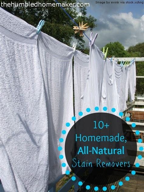 10+ Homemade, All-Natural Stain Removers--Including the BEST Stain ...