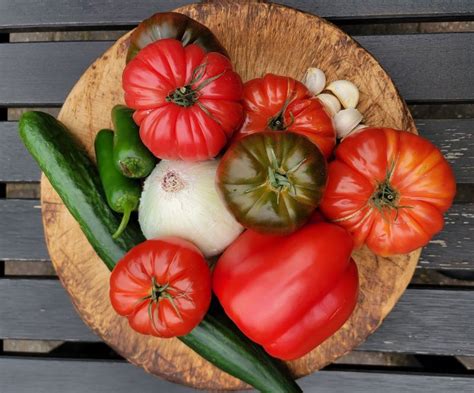 Recipe File: Gazpacho – Modern Daily Knitting