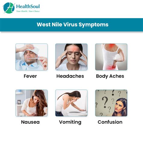 West Nile Virus: Symptoms and Treatment | Infectious Disease | HealthSoul