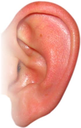 ear png image icon favicon freepngimg