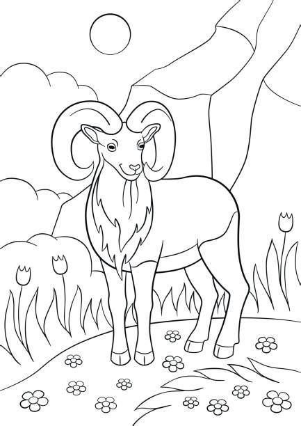 Royalty Free Urial Clip Art, Vector Images & Illustrations - iStock
