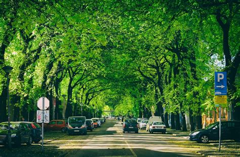 najlepse ulice svetskih gradova forum krstarice