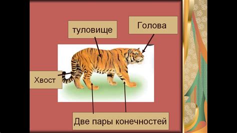Млекопитающие Животные Презентация - samaraspravki