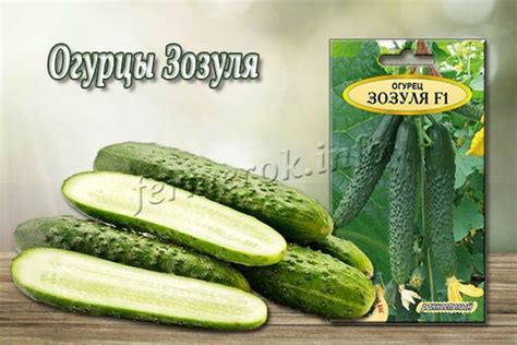 Огурцы Зозуля: описание сорта, выращивание, фото, отзывы