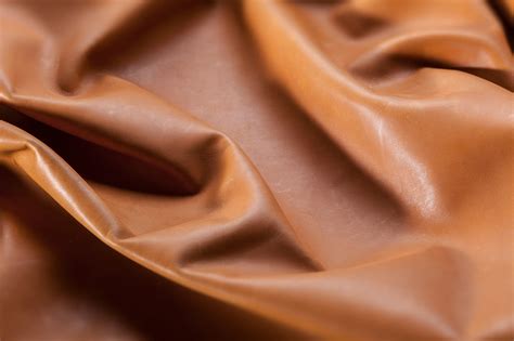 Lab-Grown Leather: Redefining the future of lab-grown… | PA Consulting