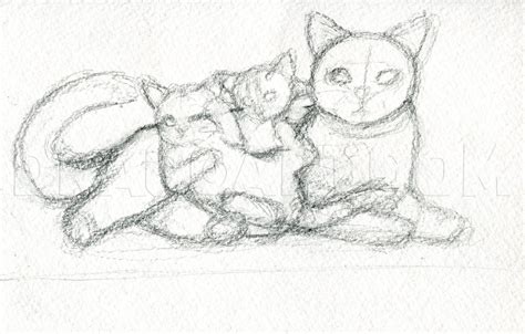 how to draw cats realistic