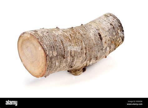 log   white background stock photo alamy