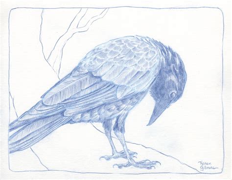 Crow Pencil Sketch at PaintingValley.com | Explore collection of Crow ...