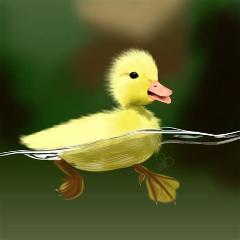 Cute Ducky, digital, 4320x4320 : Art