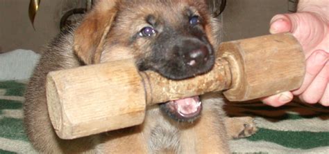 Статьи: - k-9.ru