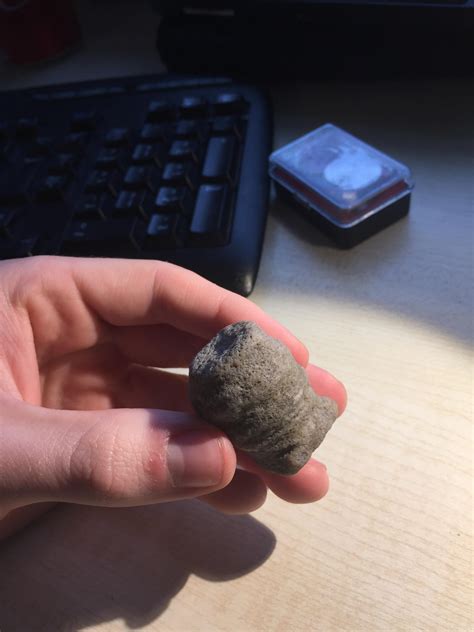 43 best Lyme Regis images on Pholder | Fossil Porn, Fossilid and Casual UK