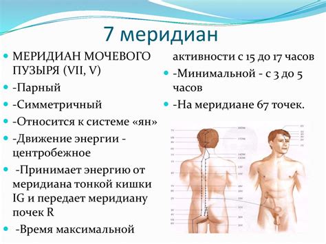 7 и 8 меридианы в рефлексотерапии. «Инь-Ян» - презентация онлайн