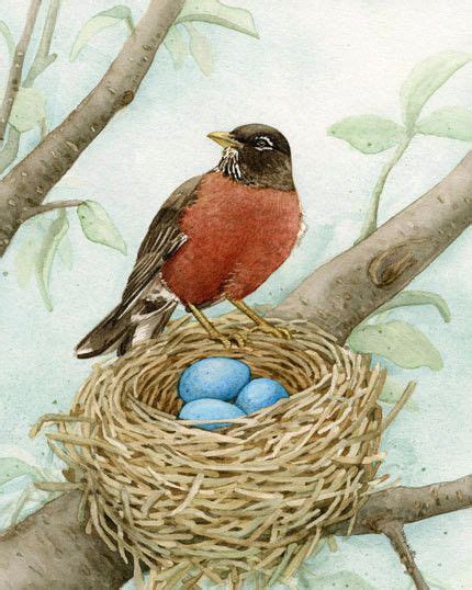 13 (430x538, 214Kb) | Bird nest painting, Bird drawings, Birds painting