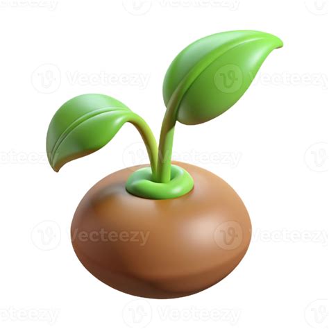 extraordinary traditional Germinating seed sprouting exclusive 59397965 PNG