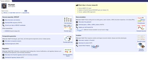 ensembl    released ensembl blog