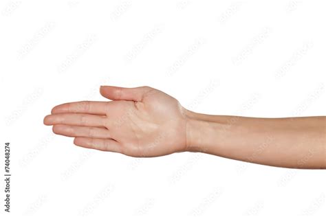 Female Hand Palm