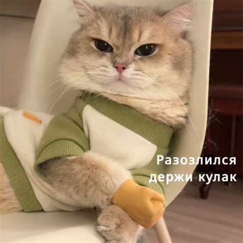 Игрушка для кошек "Щекоталки" - купить с доставкой по выгодным ценам в ...