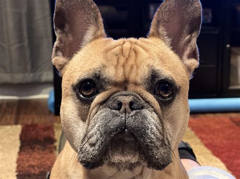 The story behind leroy jenkins was actually a planned skit 19