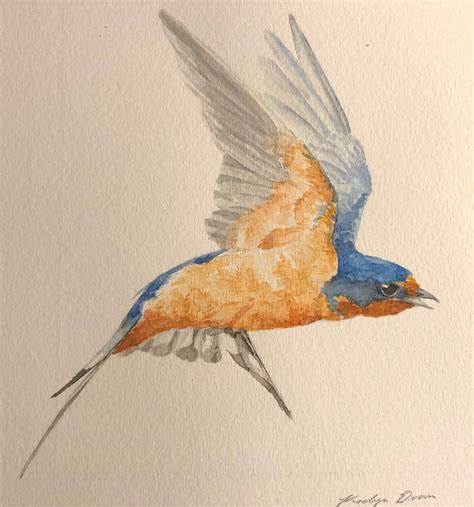 Barn Swallow by vikki180 on DeviantArt