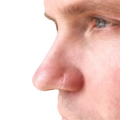clear nose piercing for work 2