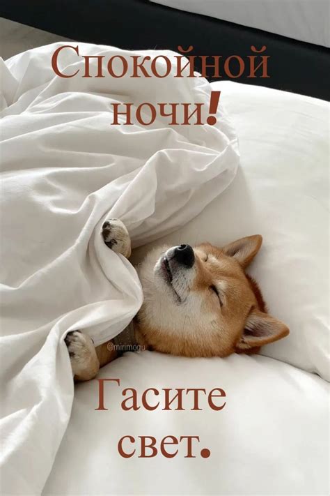 Доброй ночи. | Спокойной ночи, Смешные карикатуры, Ночь