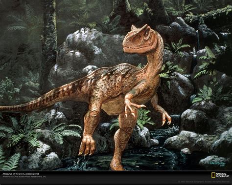 Allosaurus Wallpapers - Wallpaper Cave
