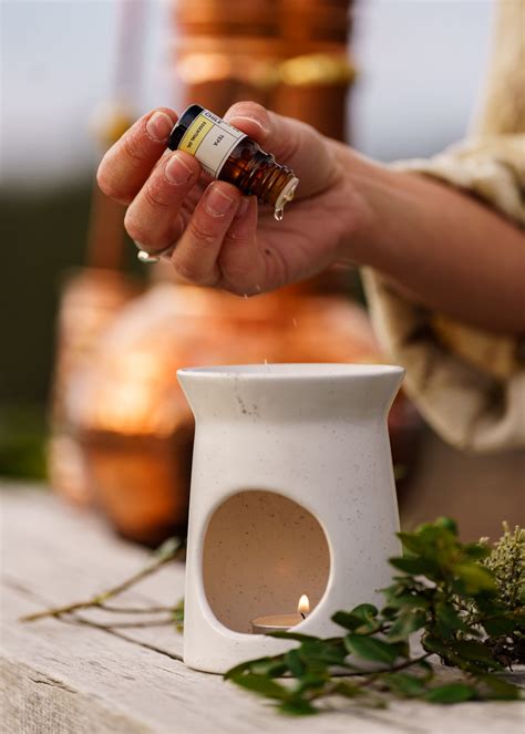 Colección Aromas de Chile - Paisaje I - Bruma Nativa