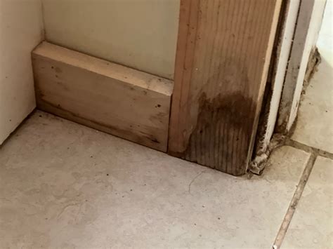 Mold In Airbnb Rental: Here's What I Did After Discovering The
