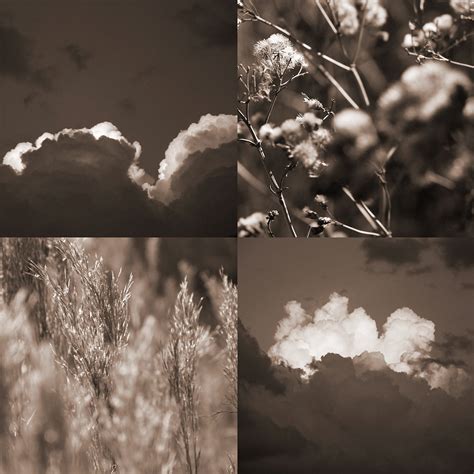 los  elementos  behance