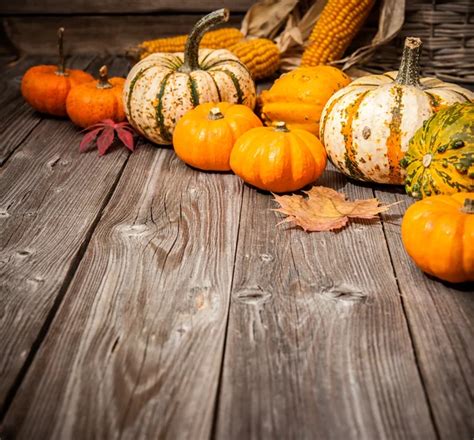 Fall pumpkins Stock Photos, Royalty Free Fall pumpkins Images ... 