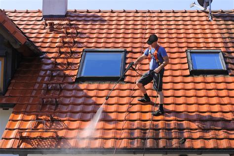 DIY Solutions For Cleaning Your Roof – LCI Mag