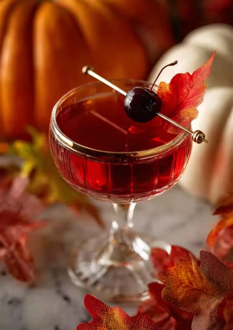 Autumn in New York Cocktail Recipe