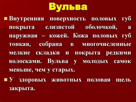 Акушерская физиология. Анатомия половых органов самок - презентация онлайн