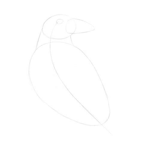How to Draw a Raven with Pen and Ink