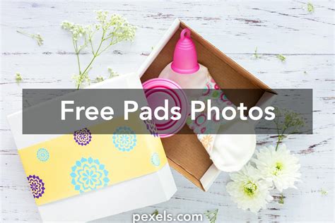 100+ Beautiful Pads Photos · Pexels · Free Stock Photos