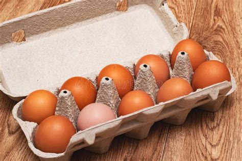 Яичка цыпленка в коробке для яичек Стоковое Изображение - изображение ...