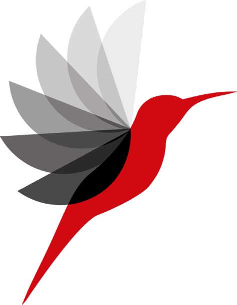 Колибри логотип (76 фото)
