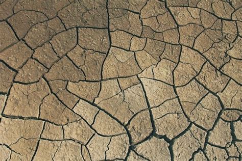 imagen gratis textura seco patron sequia aspero barro tierra