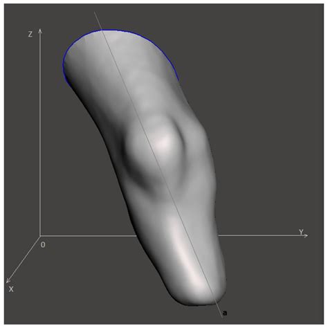 visual representation   input model  scientific diagram