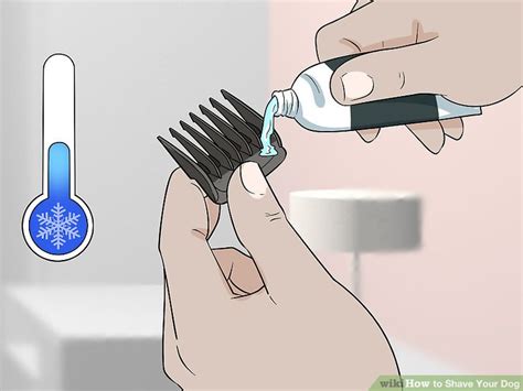 how to shave your dog