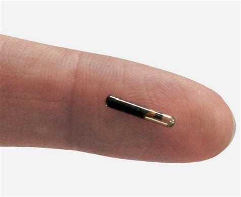 Gps Microchip Implant For Humans | informacionpublica.svet.gob.gt