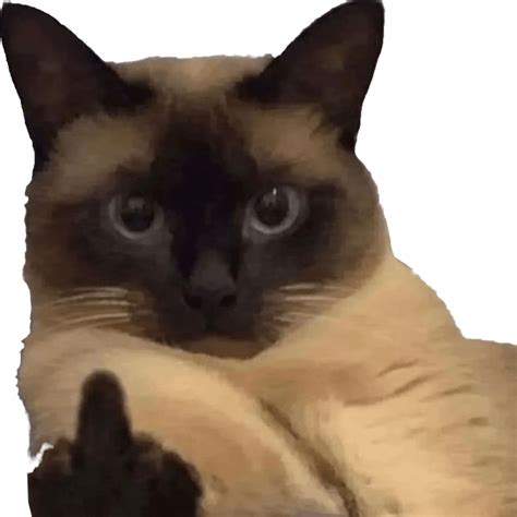 FITTY (7TV Emote Link in the Comments) : r/ohnePixel