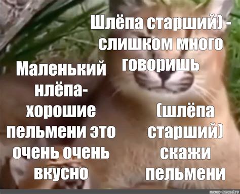Создать комикс мем "шлёпа каракал, каракал шлепа, каракал" - Комиксы ...