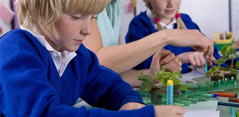 Science curriculum needs to do more to engage primary school students