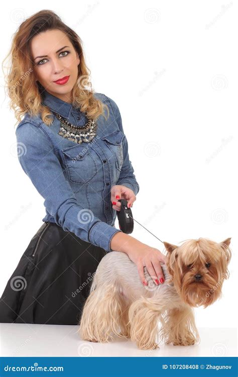 Woman with Yorkshire Terrier Stock Photo - Image of puppy, animal ...