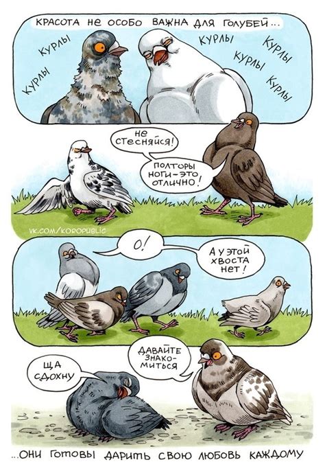 #pigeon #humour #голубь #геннадий #комикс #смехуечки ...