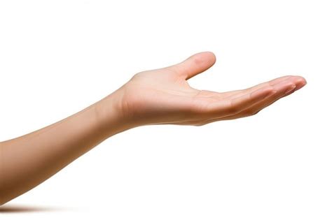 premium photo  open hand   palm facing