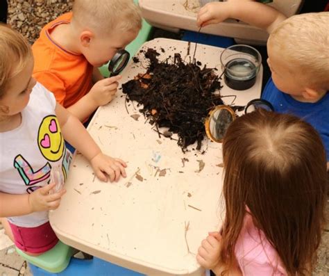 Garden Soil-The Dirty Secrets to Success