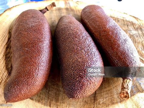 Fruit Of The Jatobá Tree Hymenaea Courbaril Stock Photo - Download ...